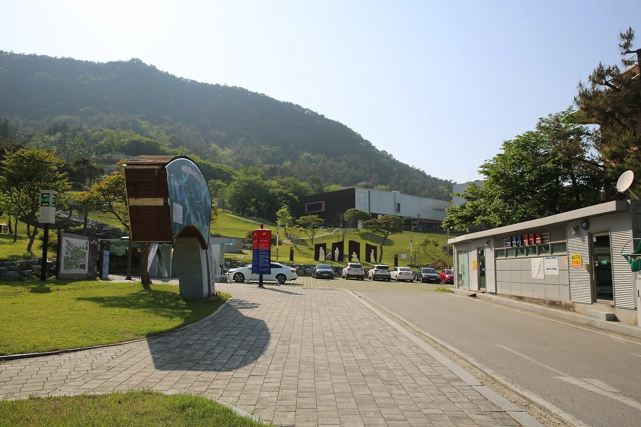 MG0A2378_новый размер.JPG