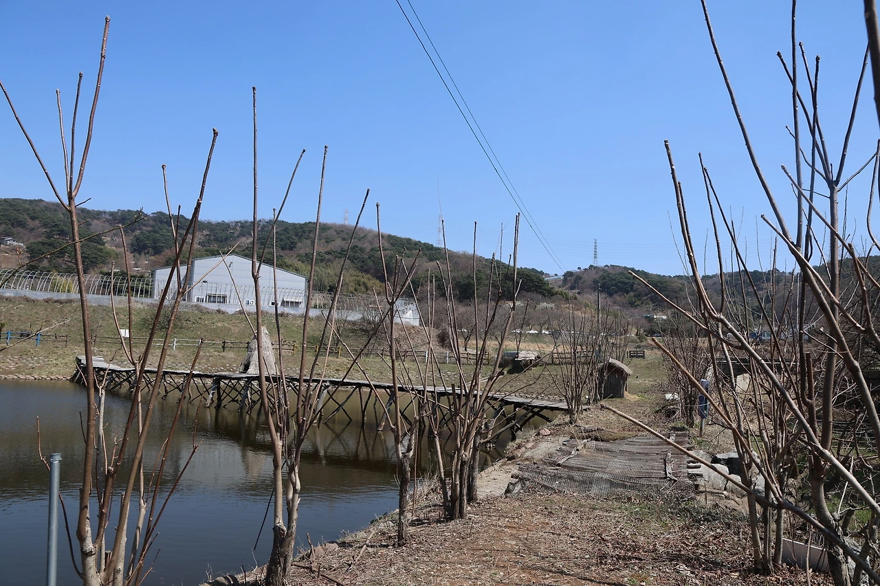 0R5A5954_новый размер.JPG