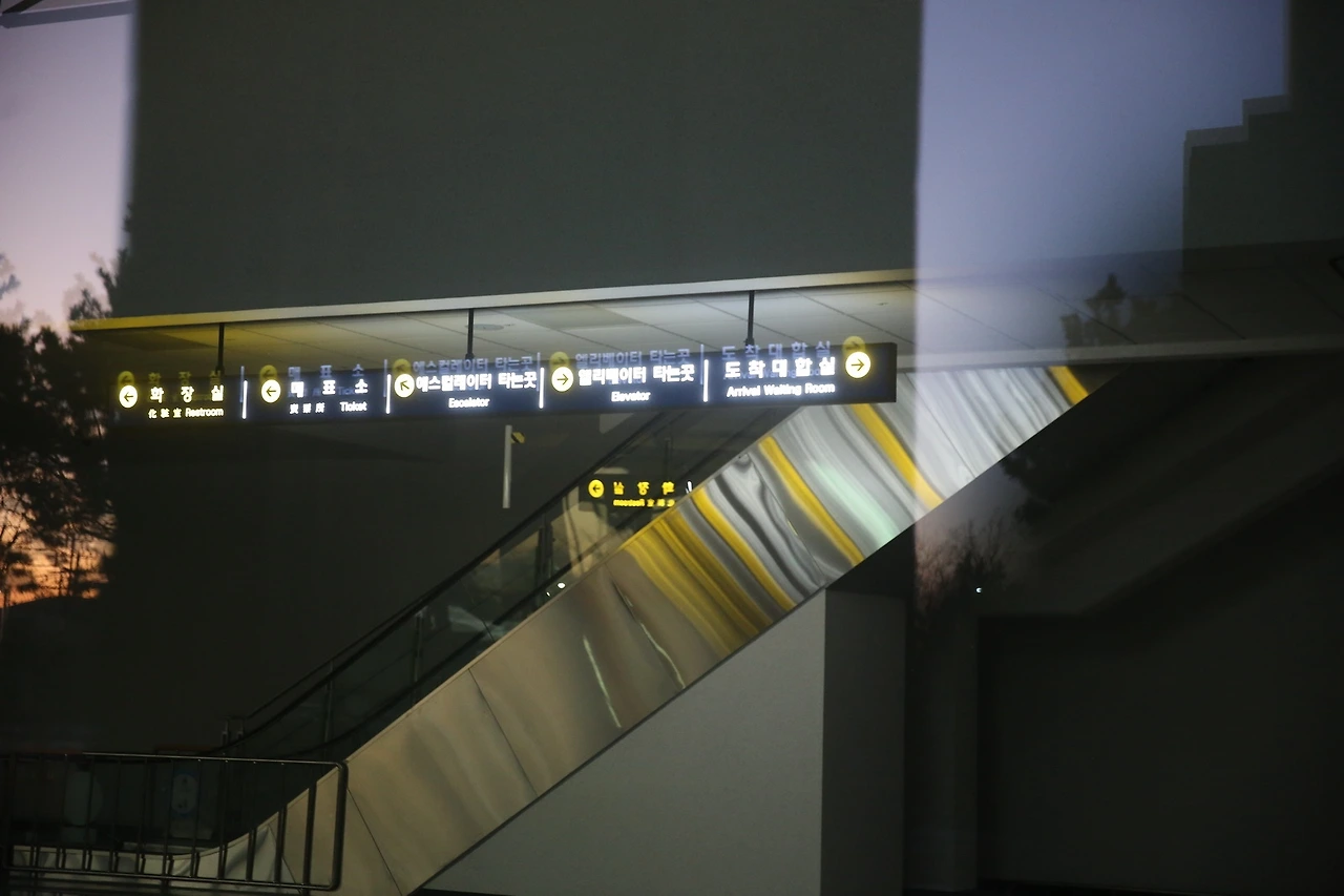 MG0A4139_новый размер.JPG