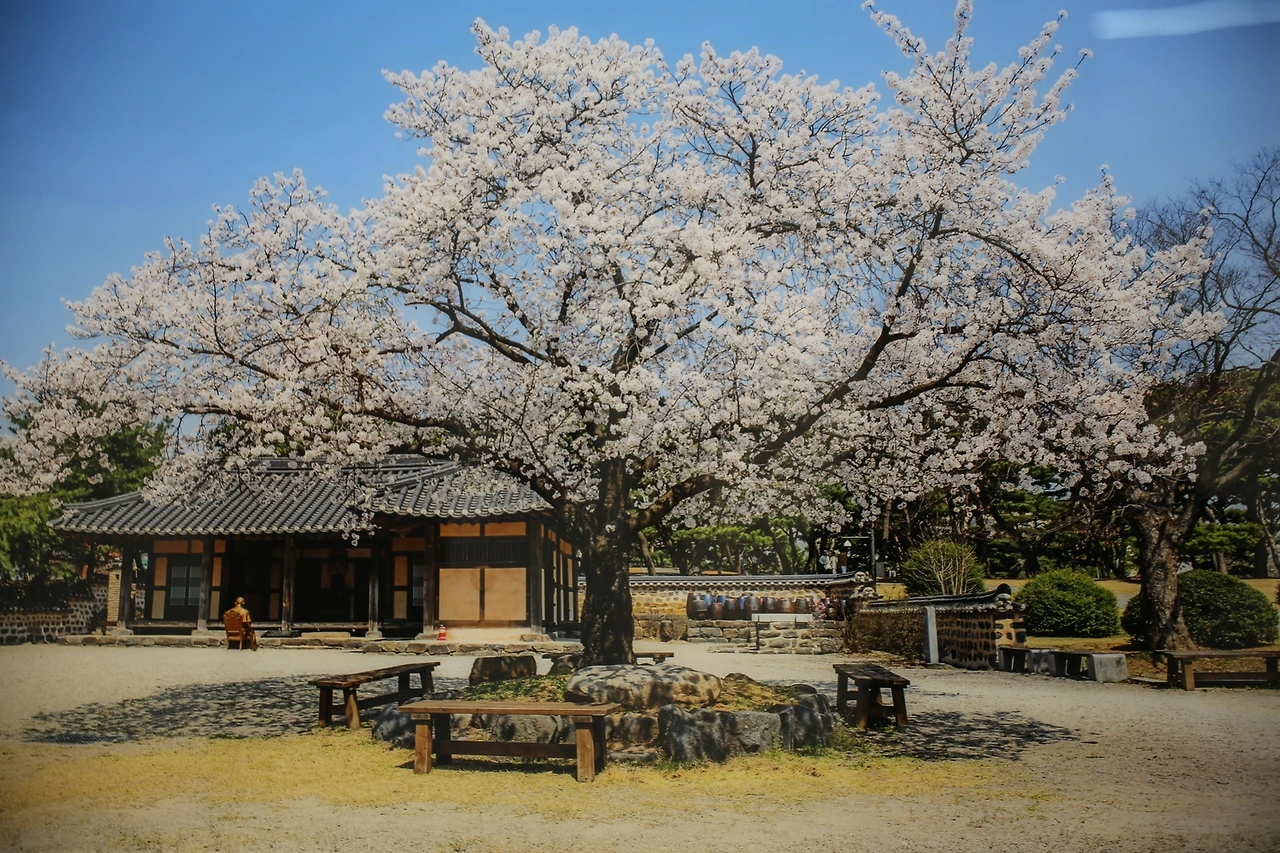 MG0A5161_новый размер.JPG