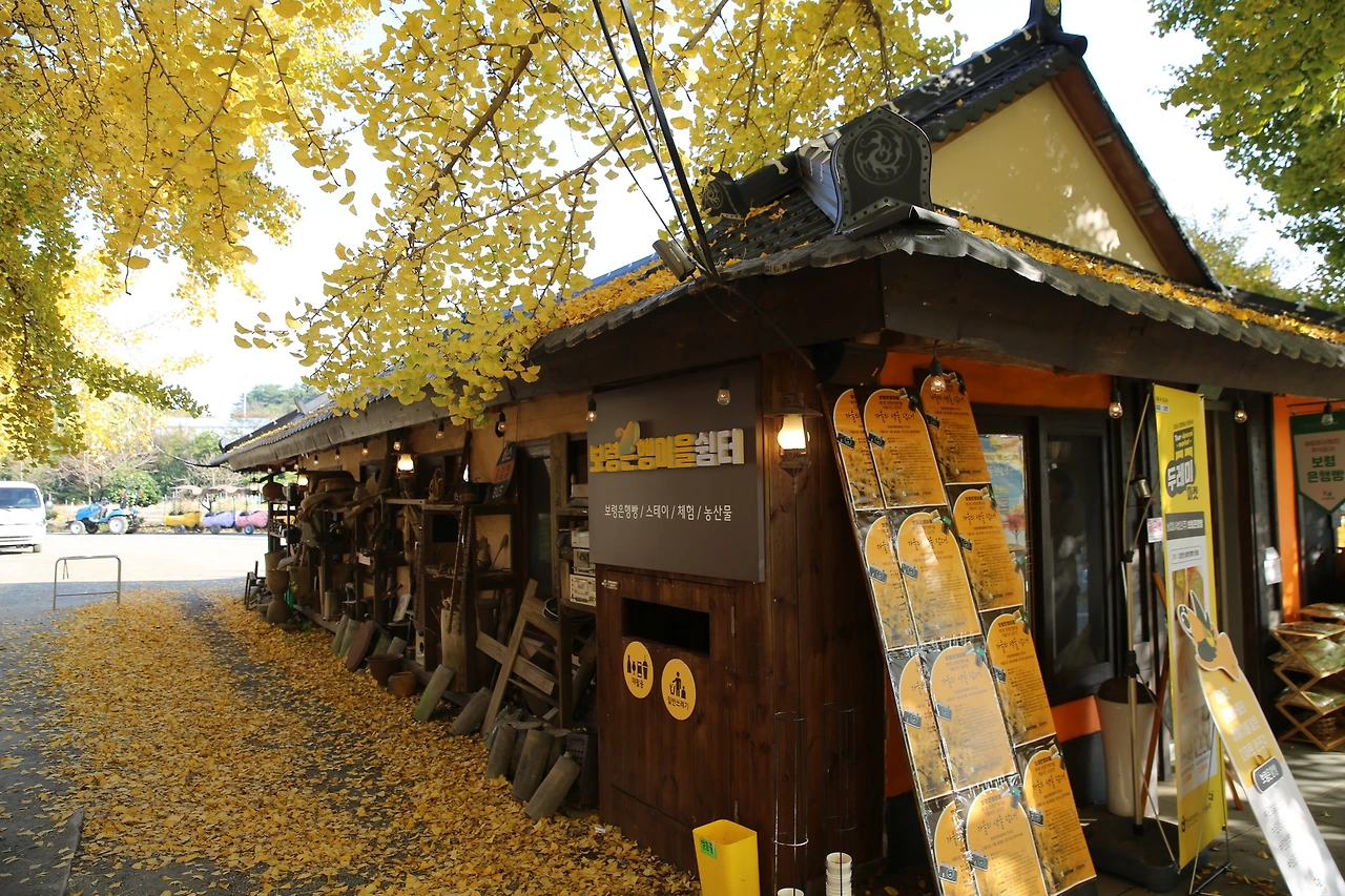 MG0A9348_новый размер.JPG