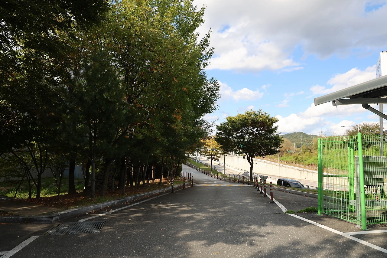 0R5A1172_новый размер.JPG