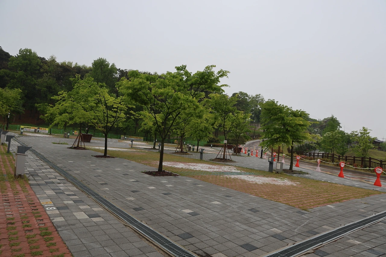 0R5A9944_новый размер.JPG