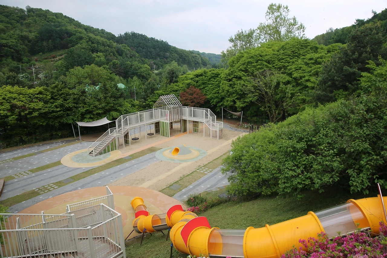 MG0A1724_новый размер.JPG