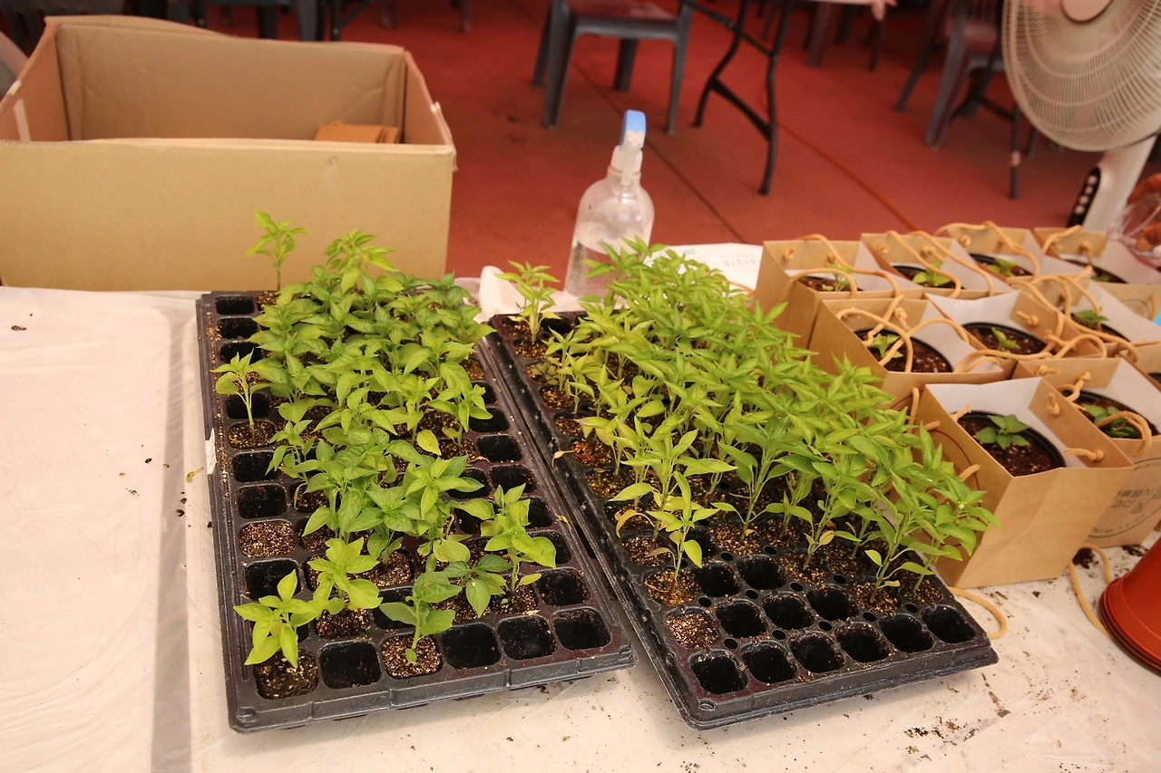 MG0A4334_новый размер.JPG