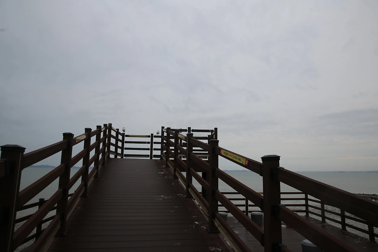 MG0A5088_новый размер.JPG