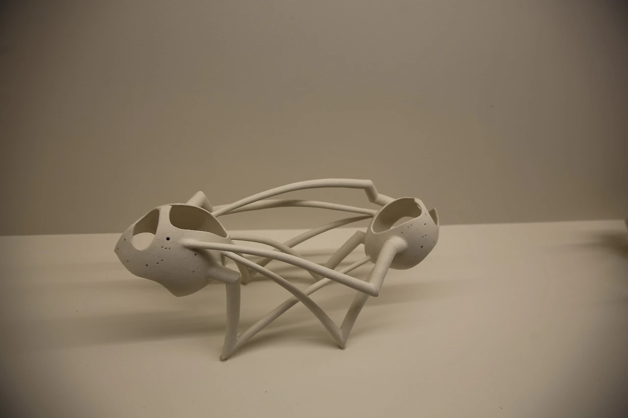 MG0A0249_новый размер.JPG