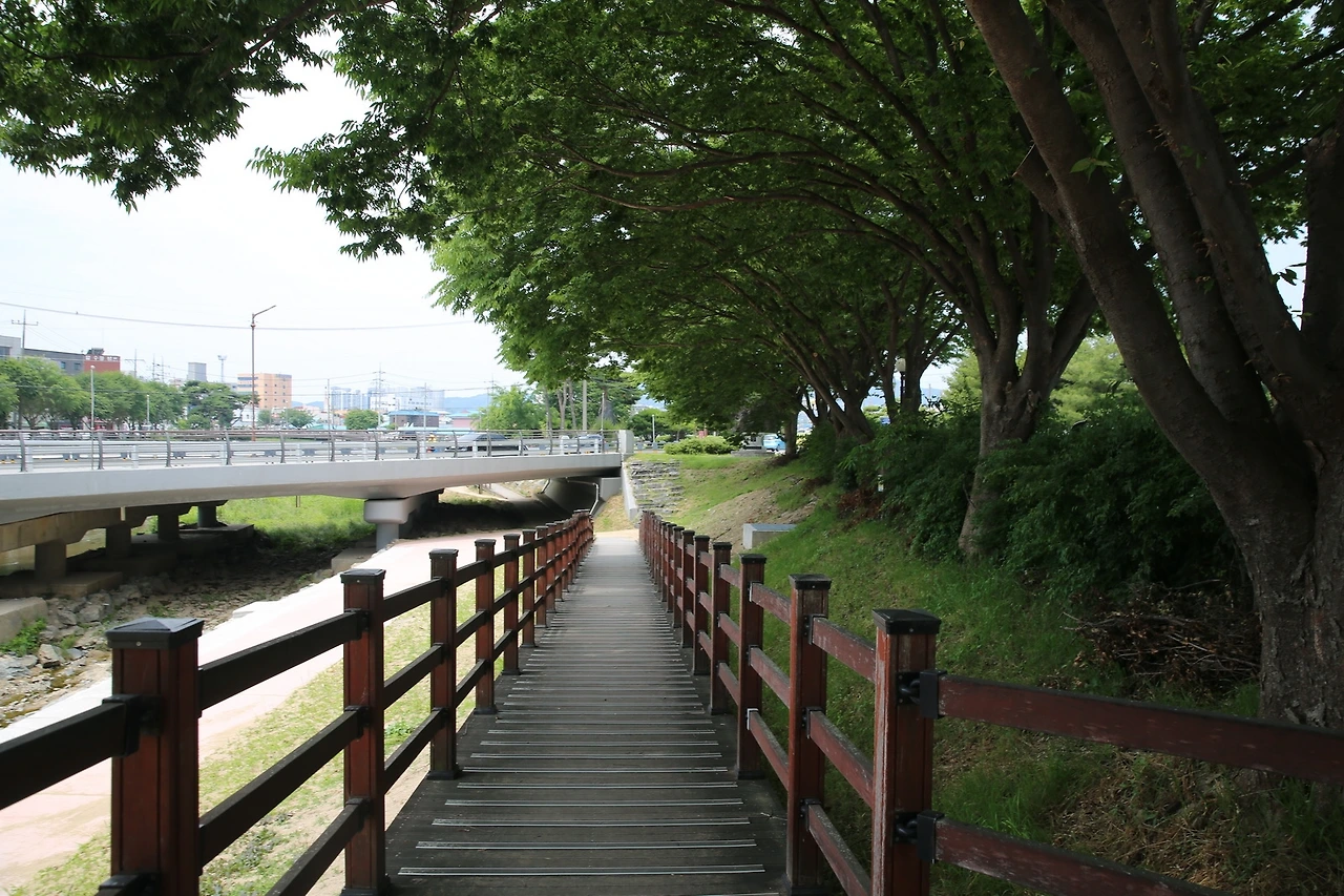 MG0A6165_новый размер.JPG