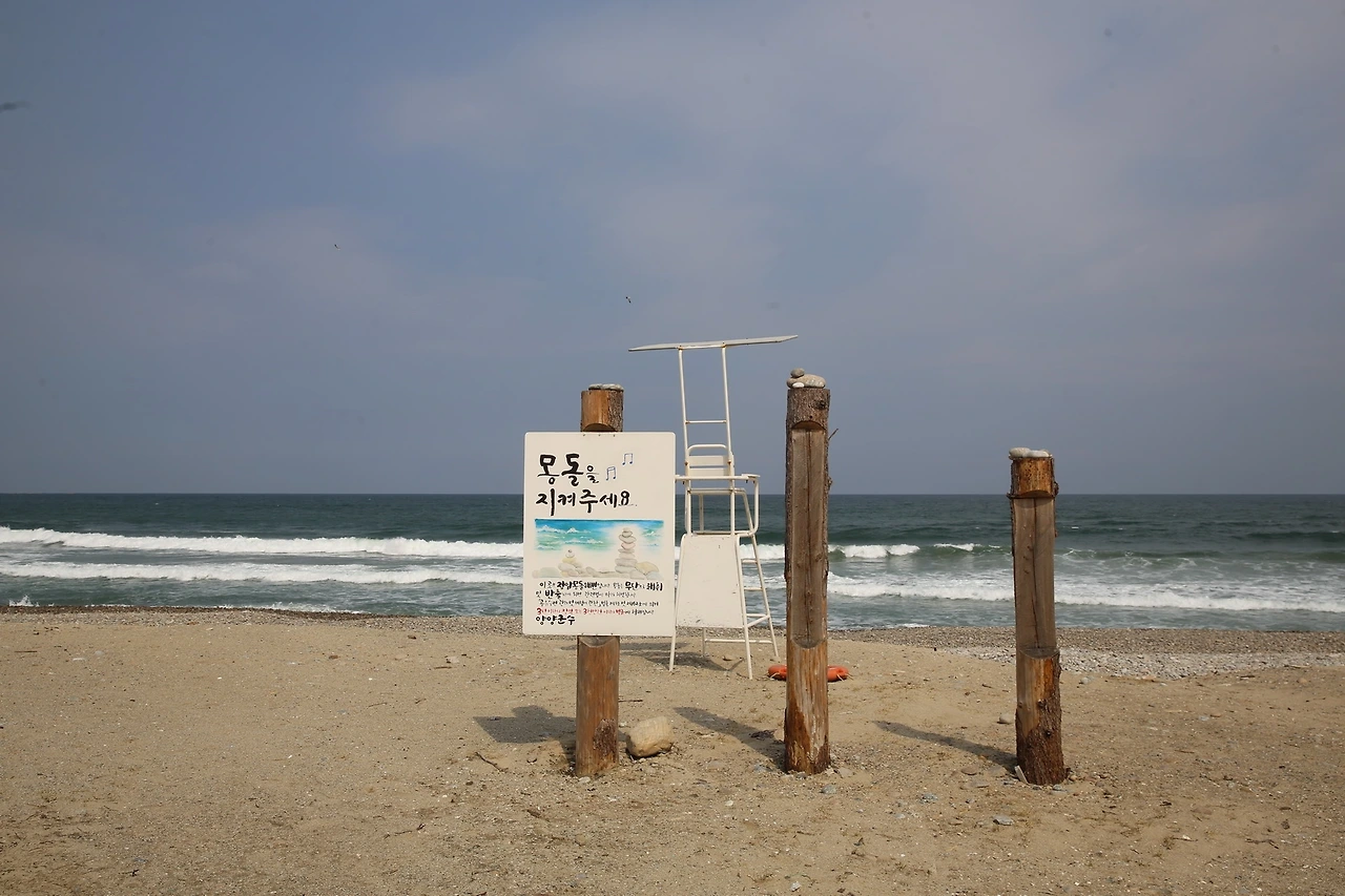 MG0A5385_новый размер.JPG