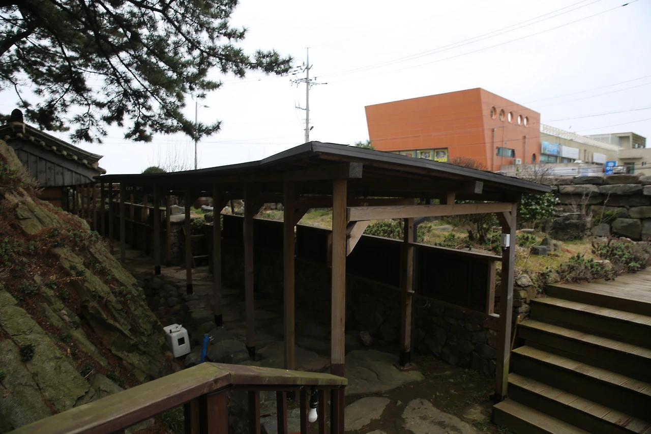 MG0A8074_новый размер.JPG