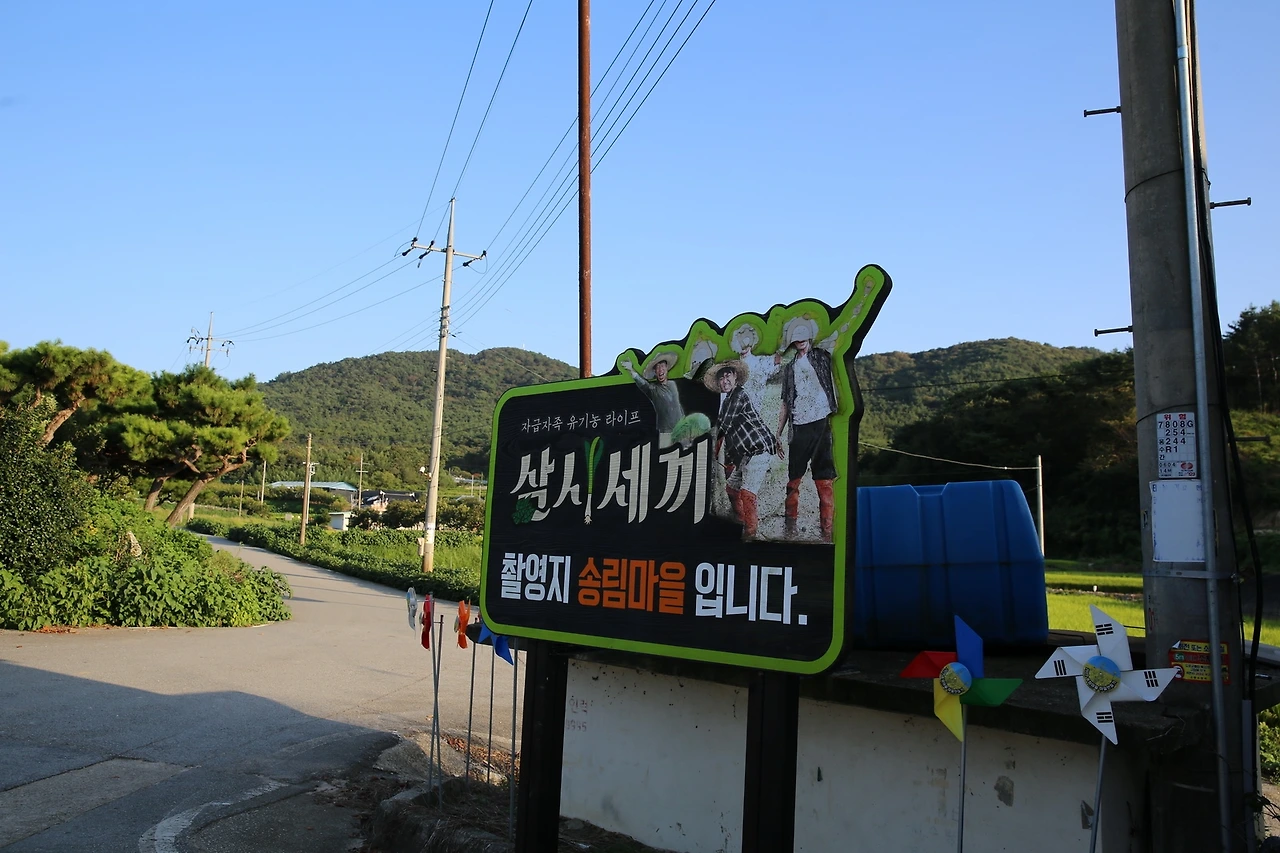 MG0A1366_новый размер.JPG