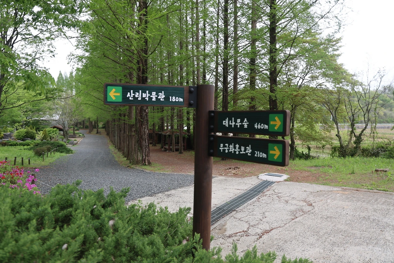 0R5A7595_новый размер.JPG