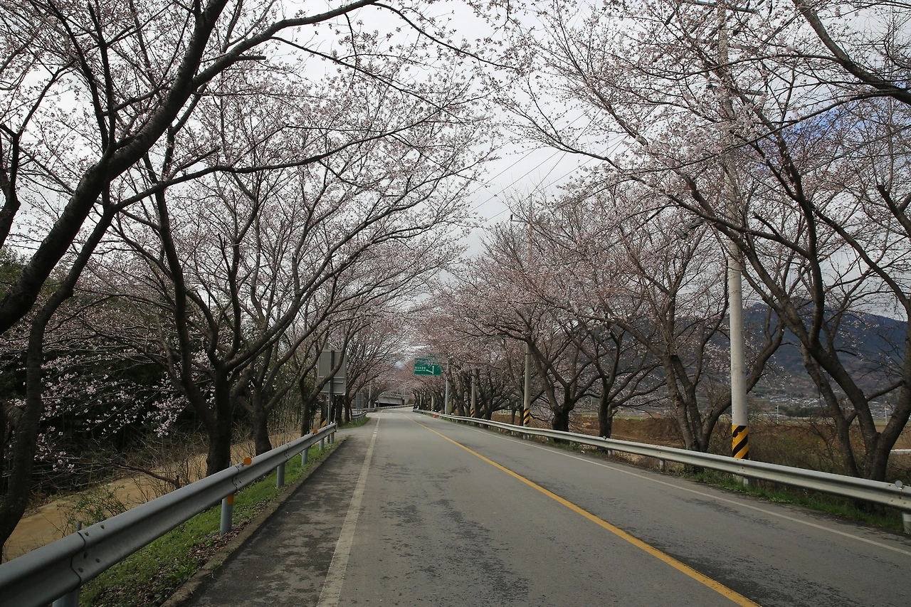 MG0A7130_новый размер.JPG