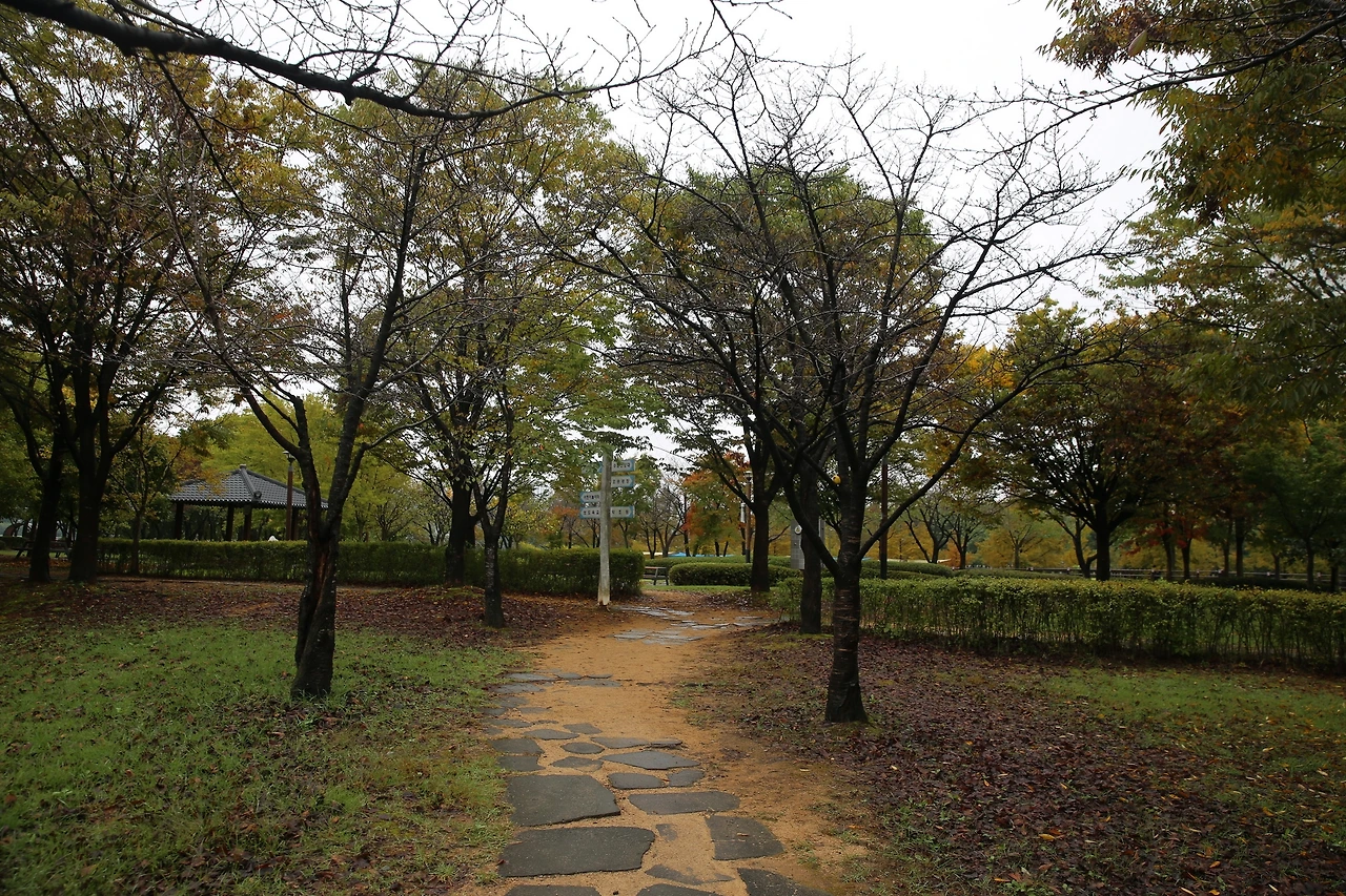 MG0A5207_новый размер.JPG