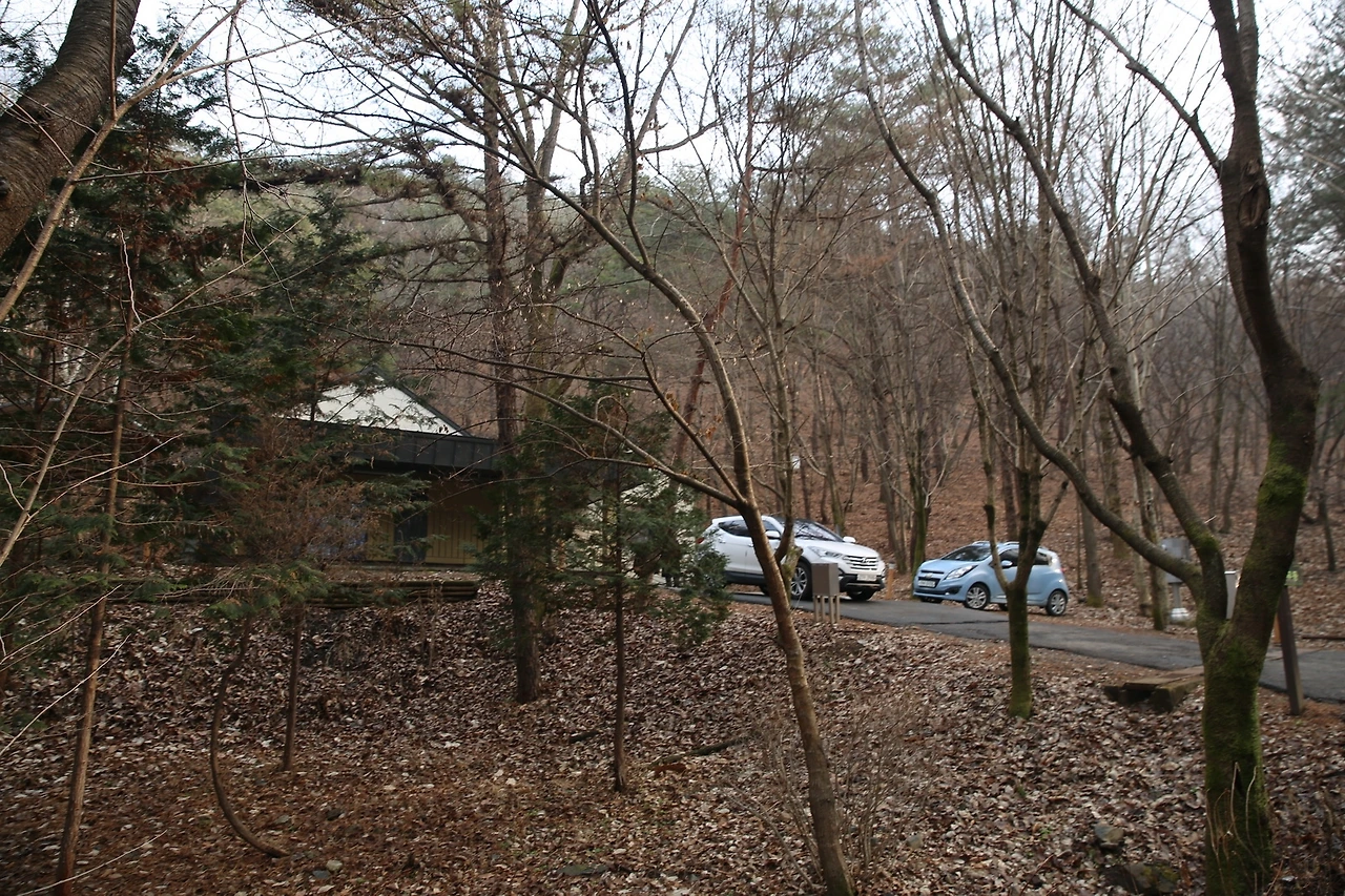 MG0A5474_новый размер.JPG