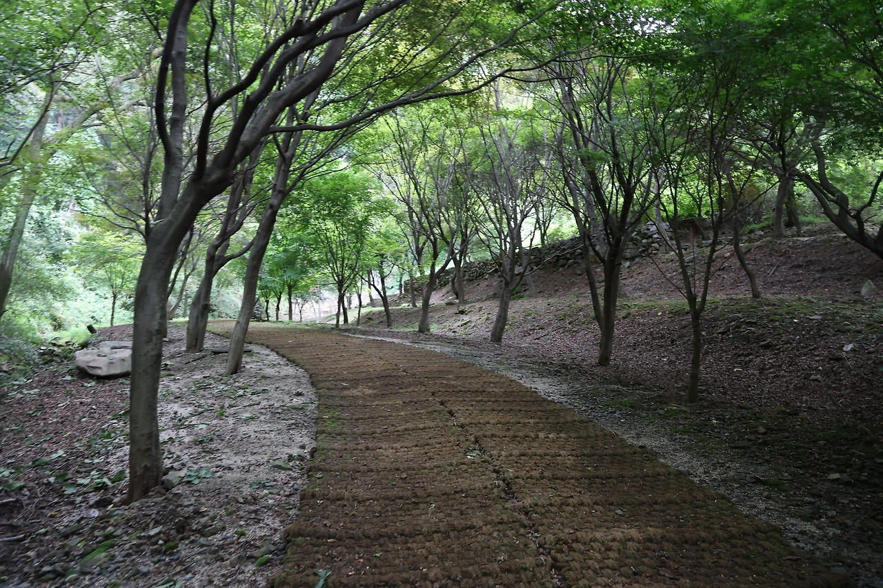 0R5A2835_новый размер.JPG