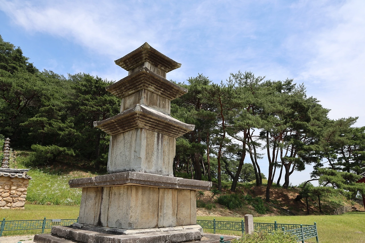 0R5A5166_новый размер.JPG