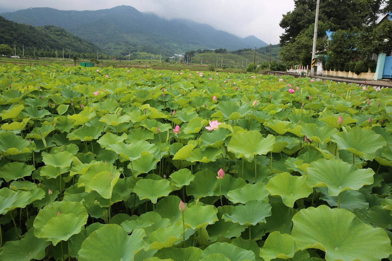 MG0A3667_новый размер.JPG