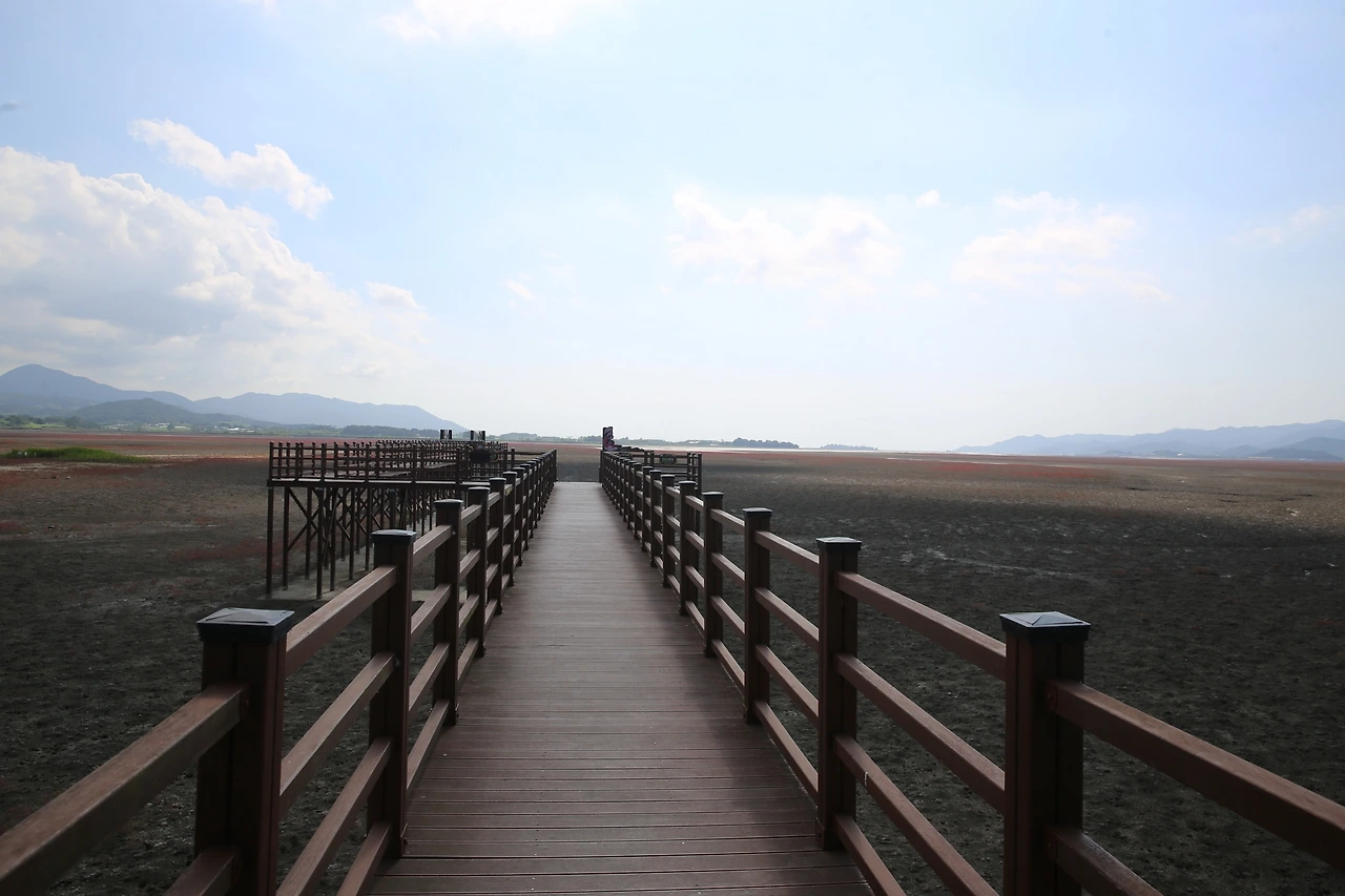 MG0A5296_новый размер.JPG