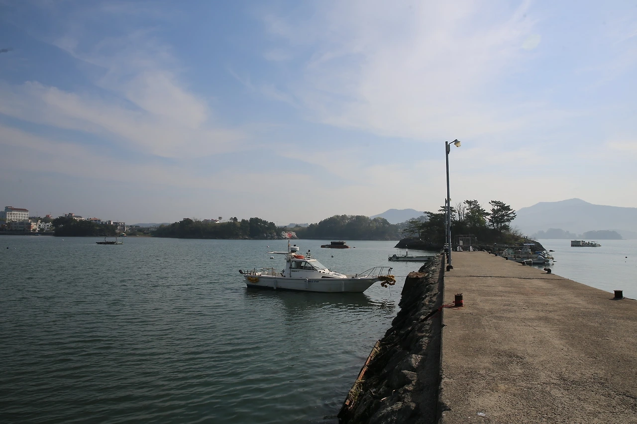 MG0A8993_новый размер.JPG