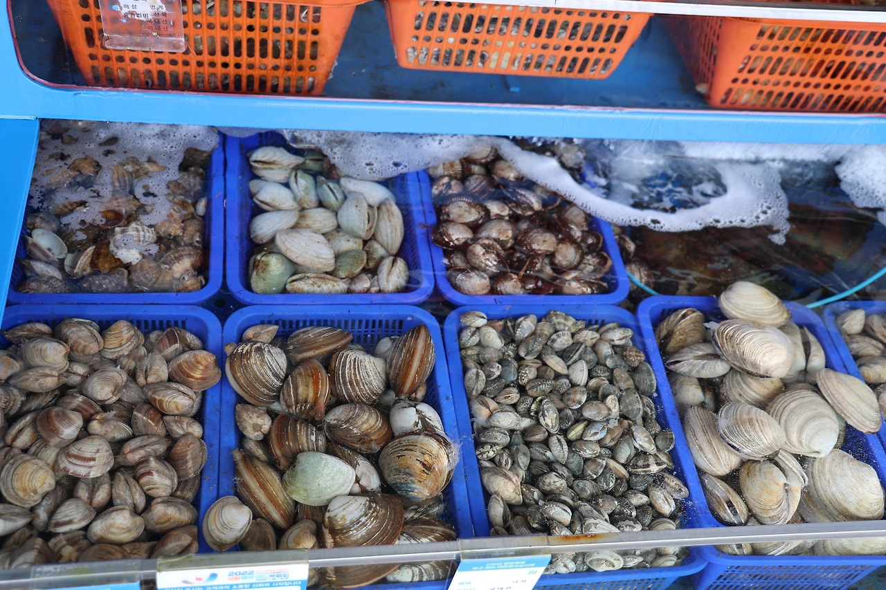 0R5A7754_новый размер.JPG