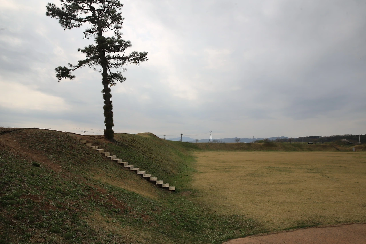 MG0A8239_новый размер.JPG