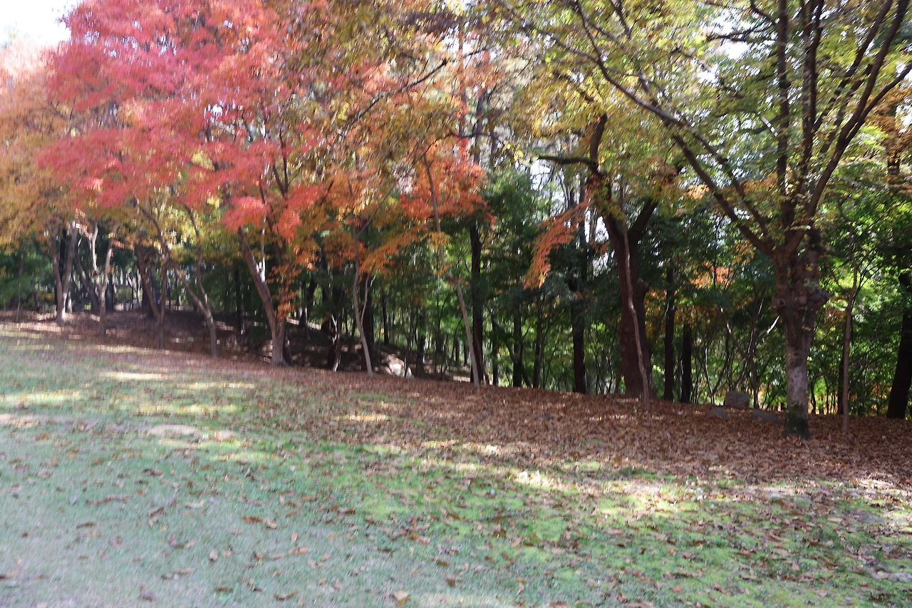 0R5A2391_новый размер.JPG