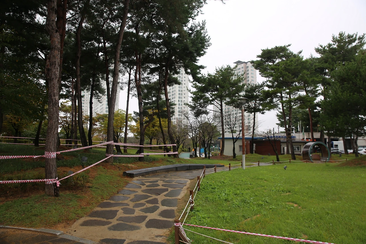 MG0A5205_новый размер.JPG