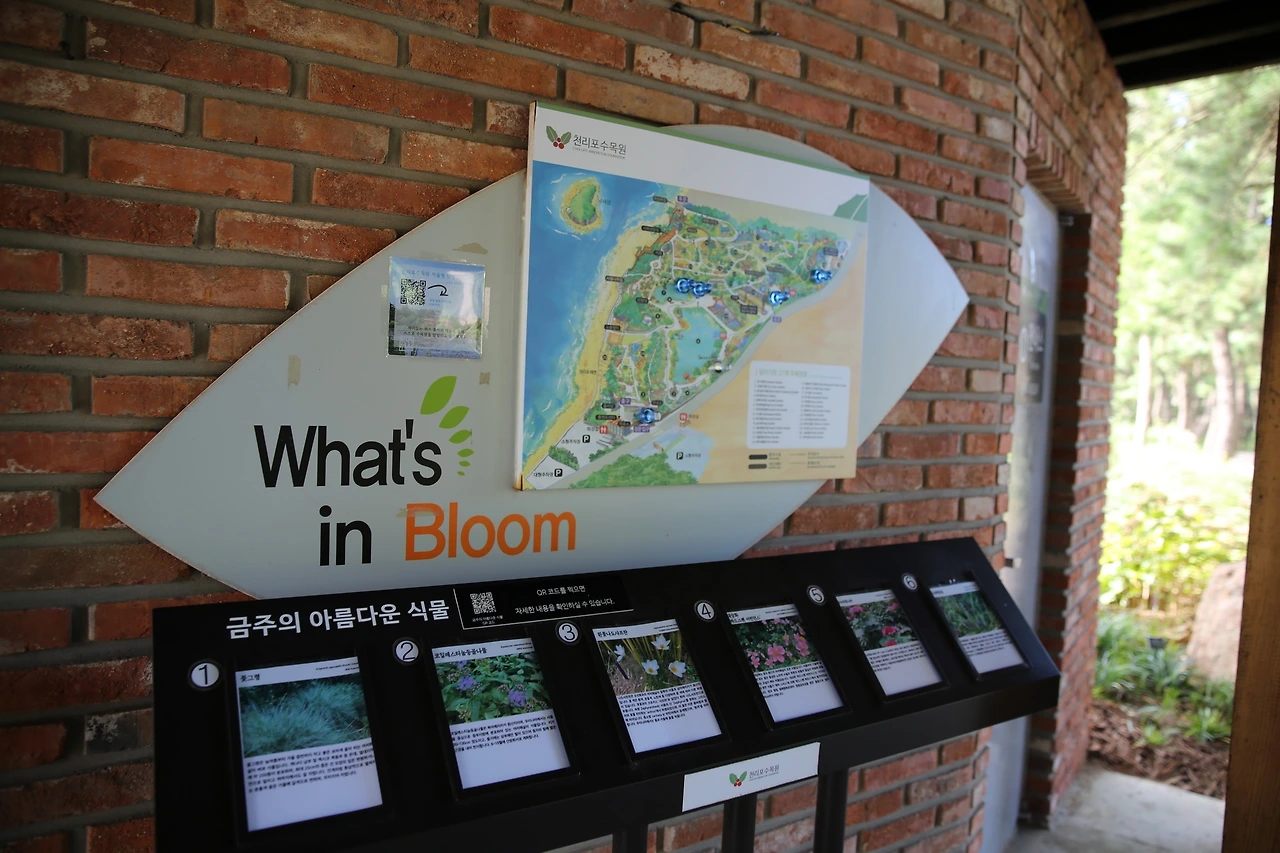 MG0A1364_новый размер.JPG