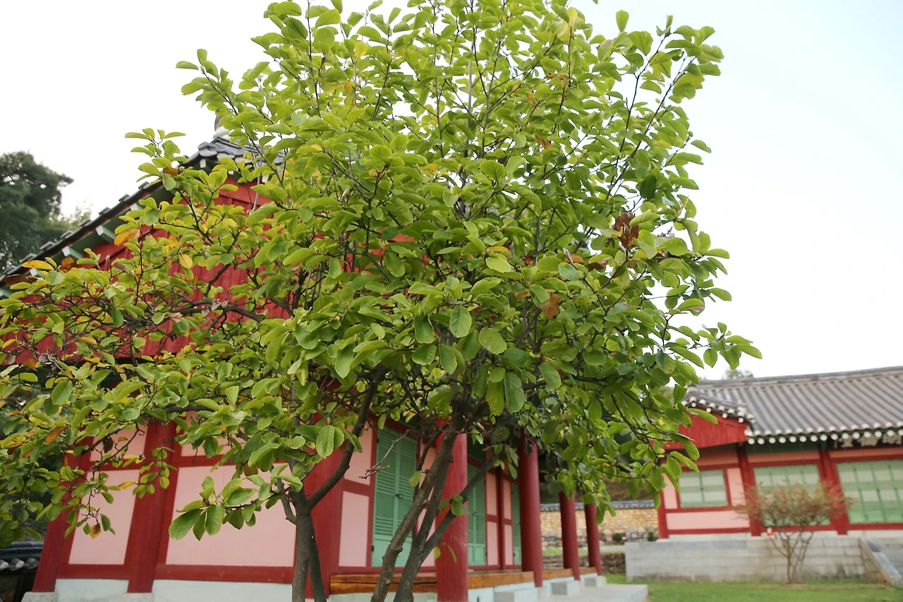 MG0A6628_новый размер_exposure.JPG