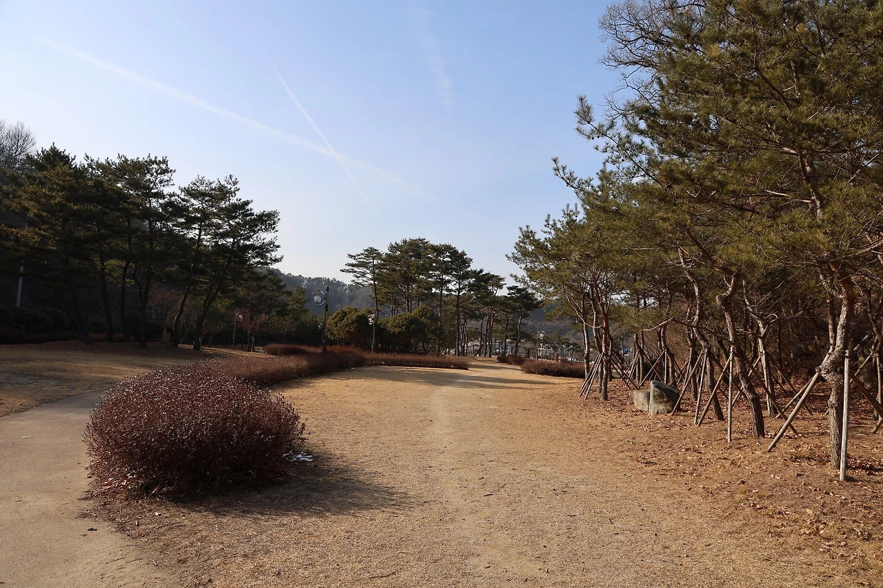 0R5A9227_новый размер.JPG