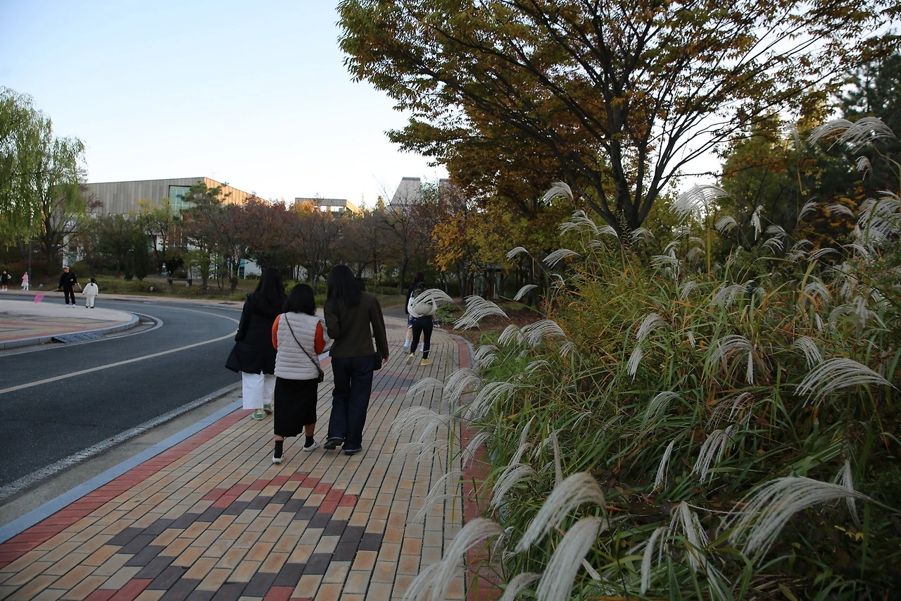 MG0A7244_новый размер.JPG