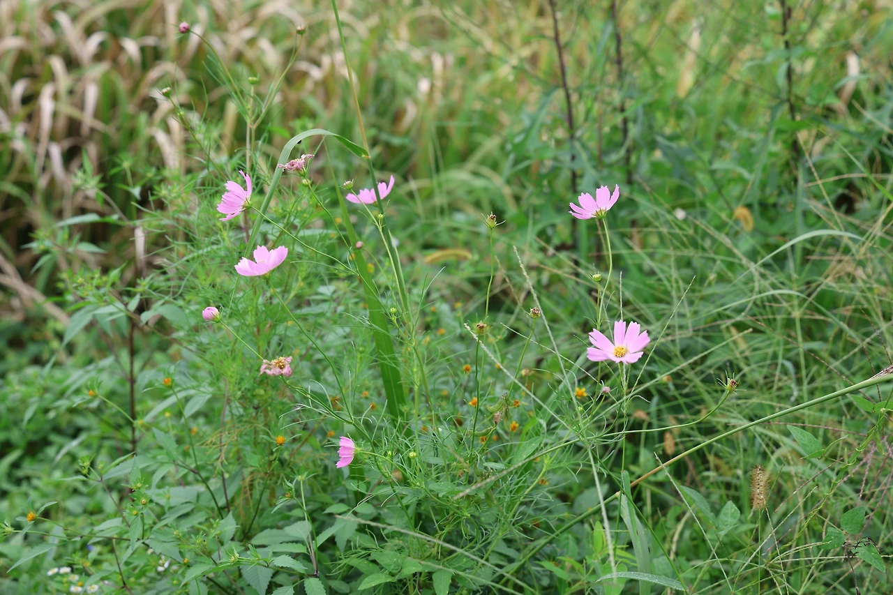 0R5A7766_новый размер.JPG