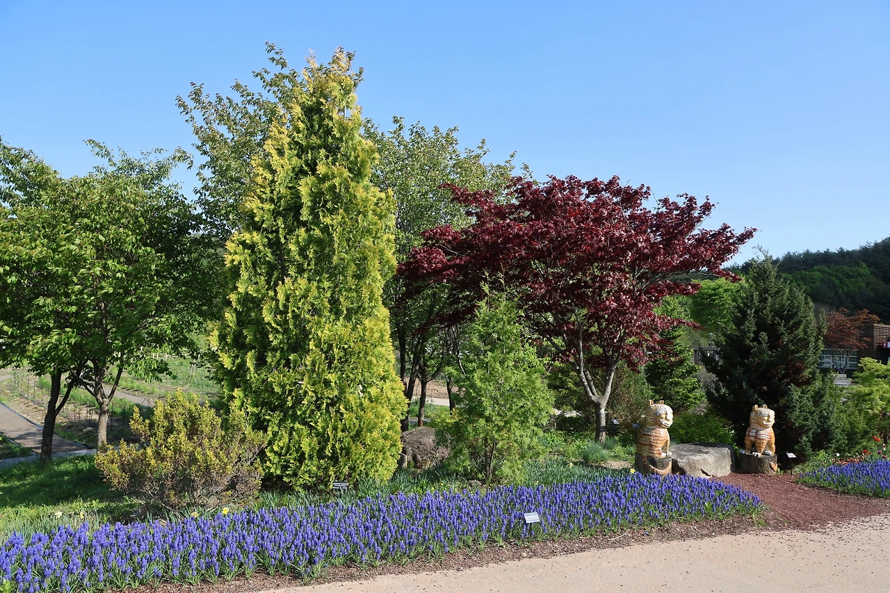 0R5A9732_новый размер.JPG