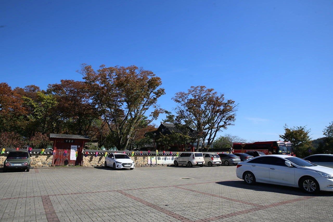 MG0A6760_новый размер.JPG