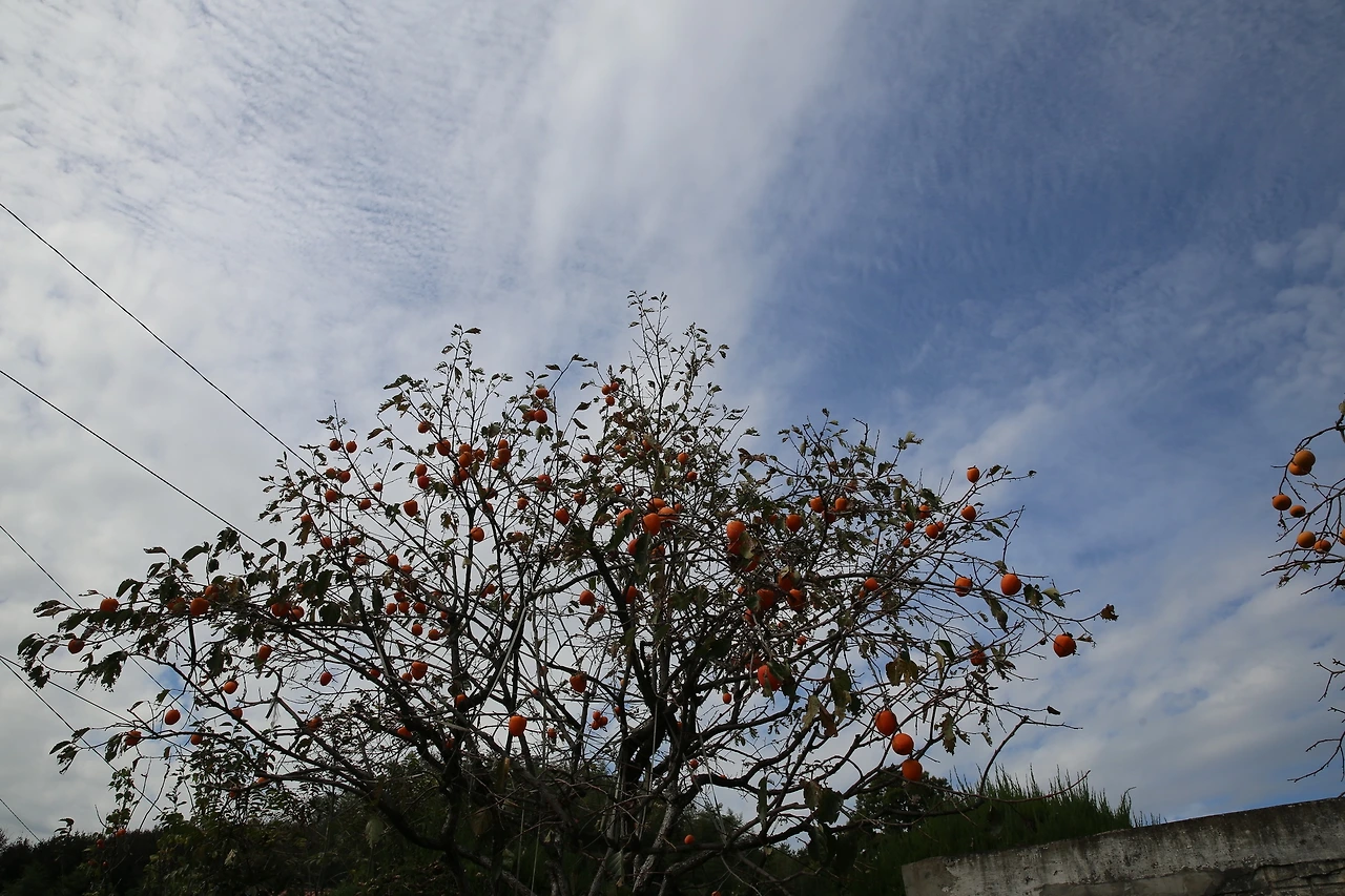 MG0A7807_новый размер.JPG