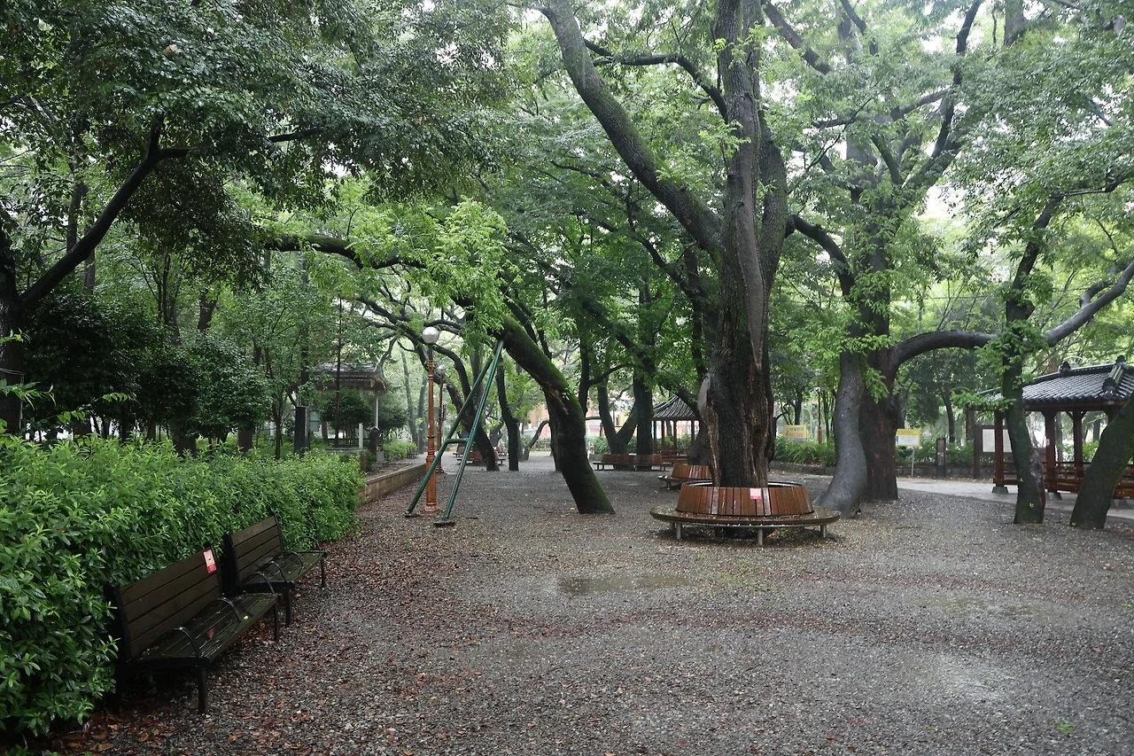 0R5A1443_новый размер.JPG