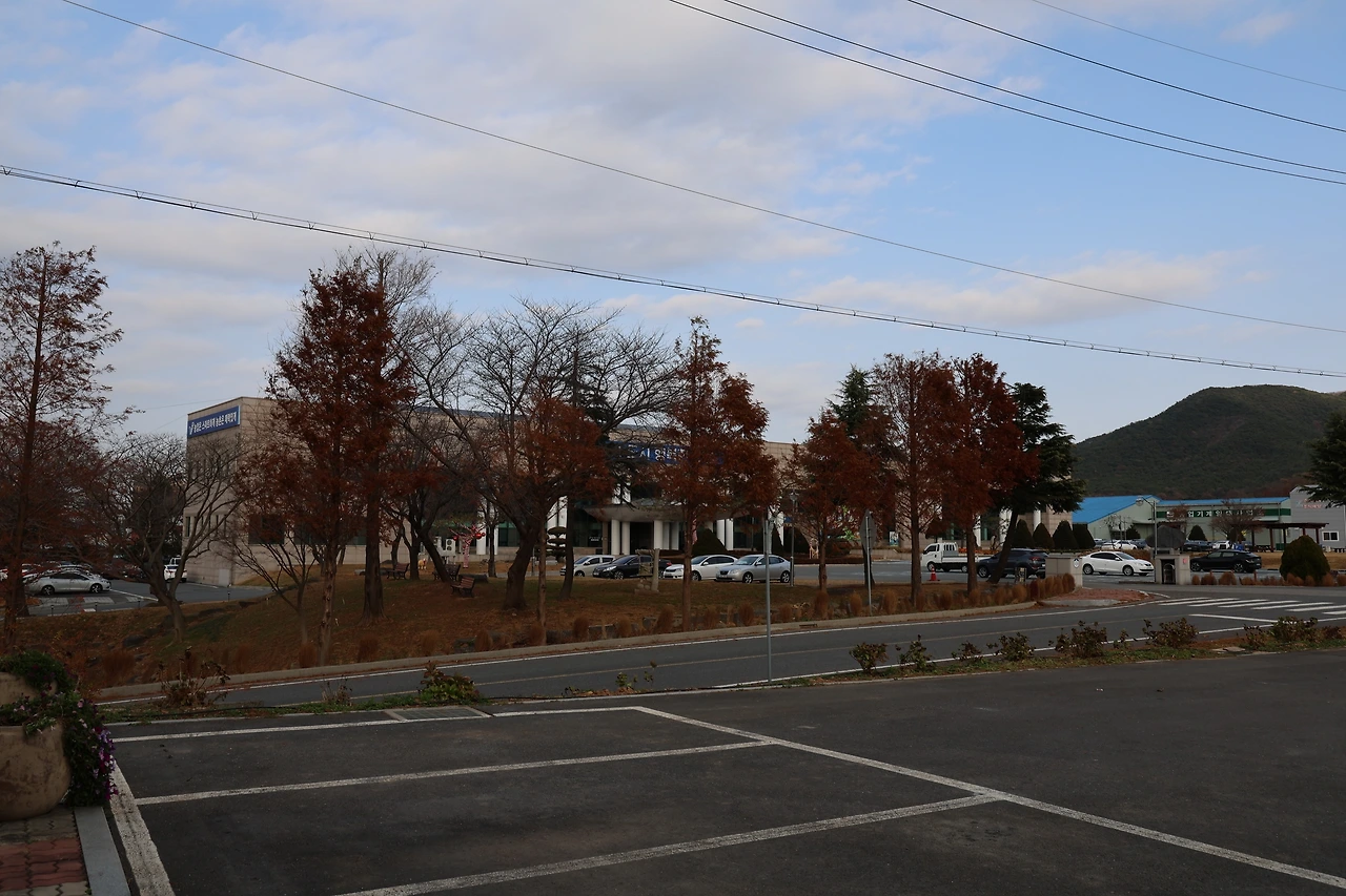 0R5A4994_новый размер.JPG