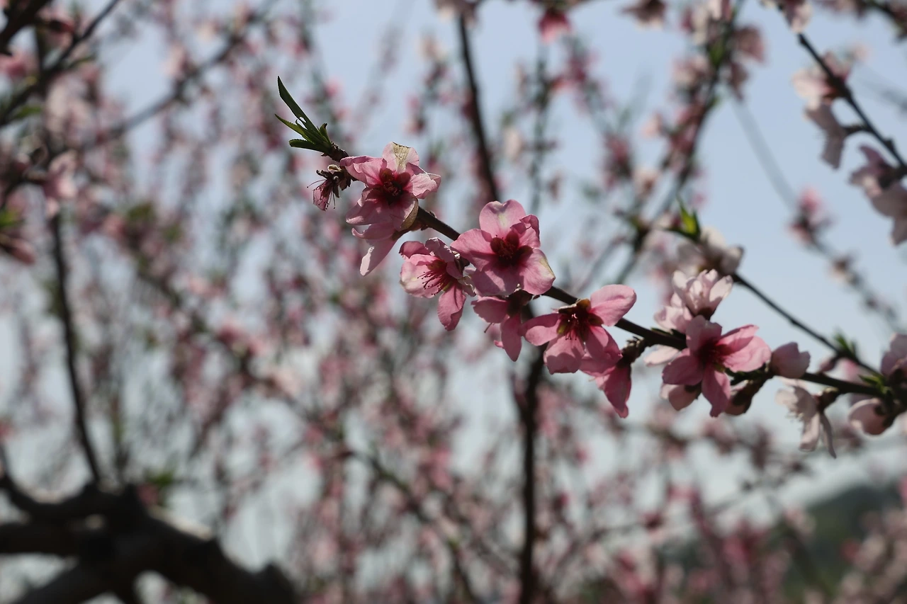 0R5A7184_новый размер.JPG