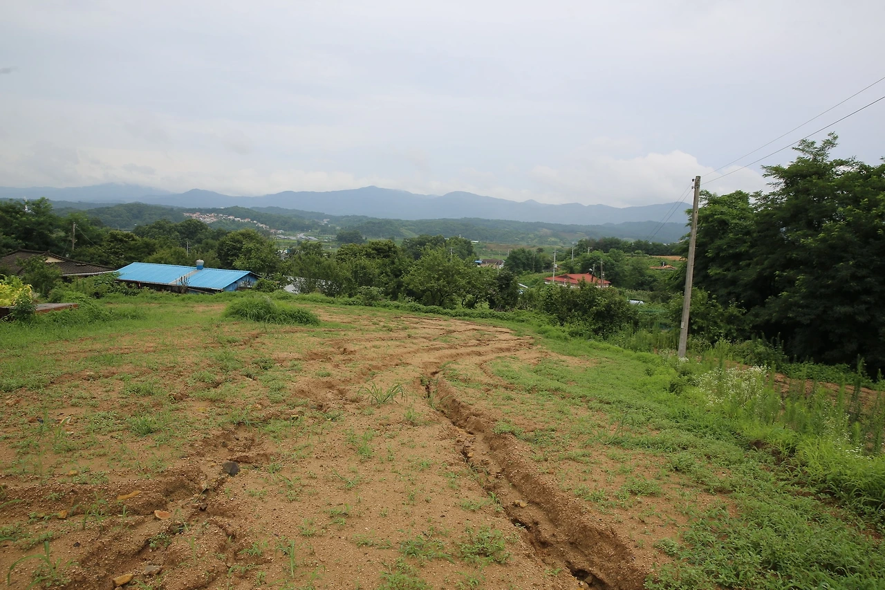 MG0A4705_новый размер.JPG