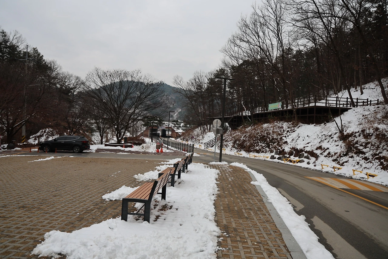 0R5A7463_новый размер.JPG