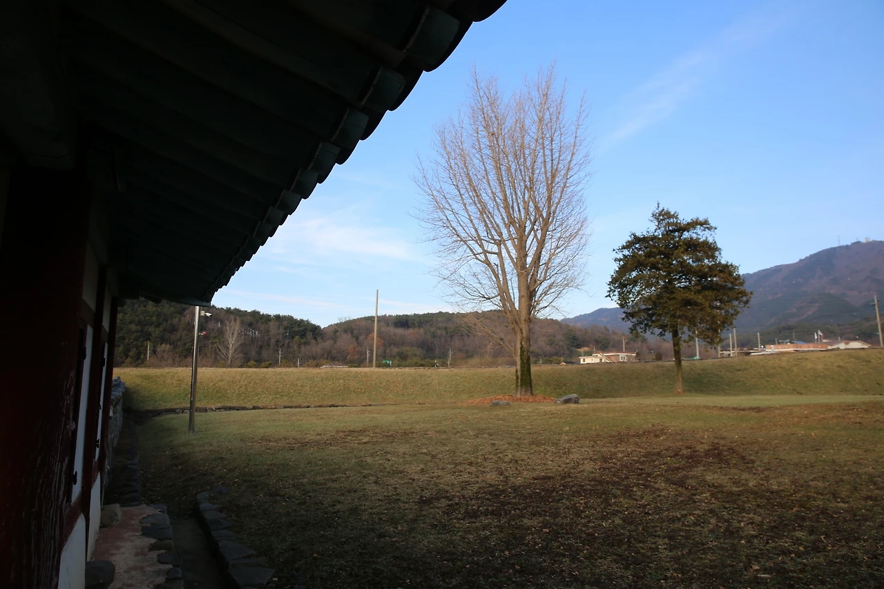 MG0A6910_новый размер.JPG