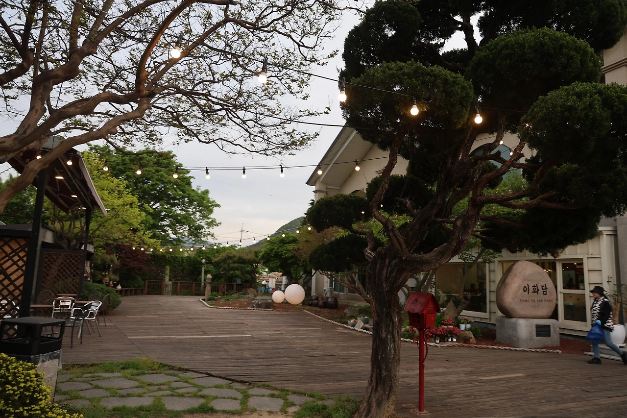 0R5A8513_новый размер.JPG