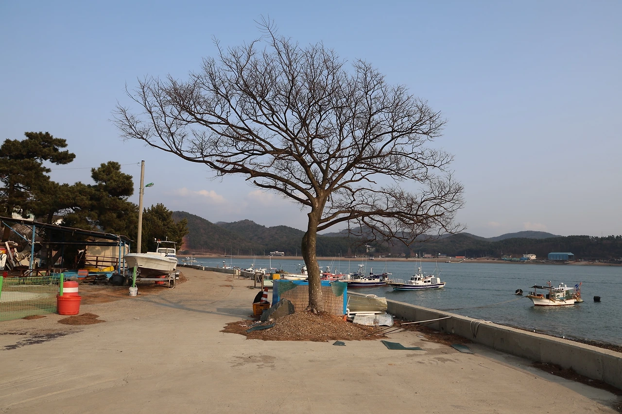 0R5A1957_новый размер.JPG