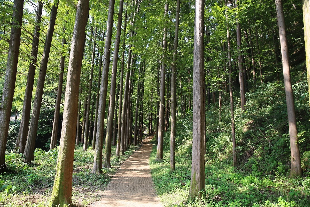 MG0A1521_новый размер.JPG