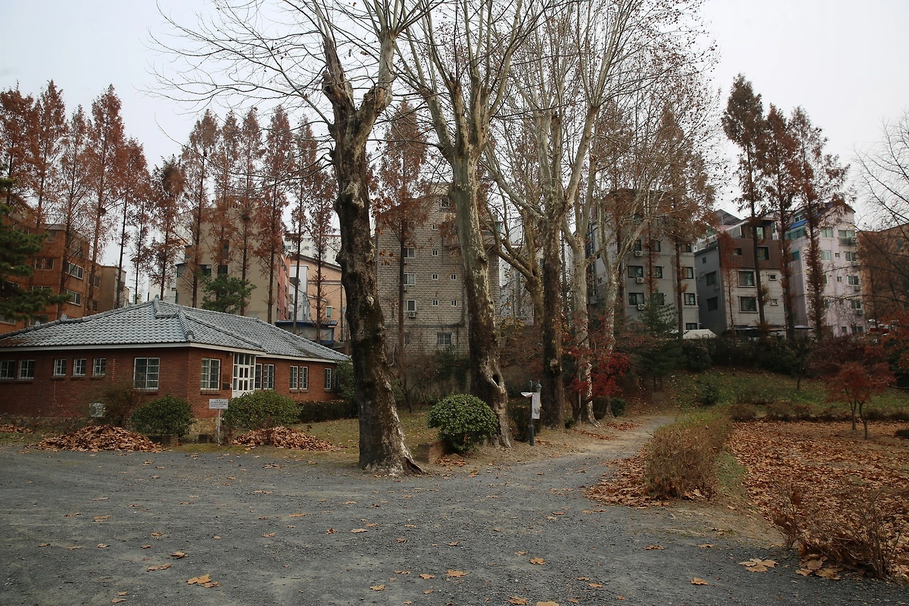 MG0A3624_новый размер.JPG