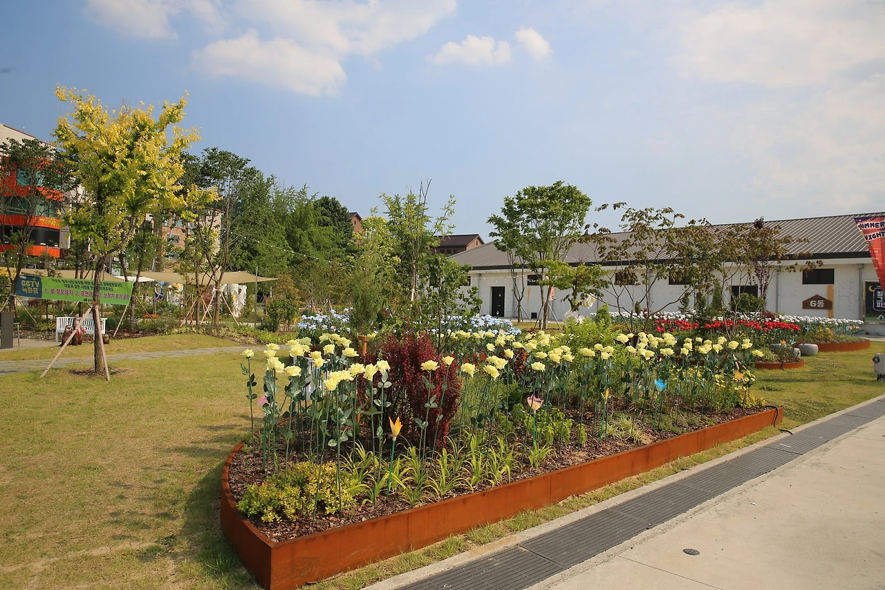 MG0A2253_новый размер.JPG