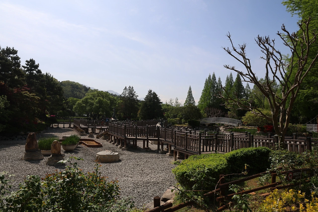 0R5A7849_новый размер.JPG