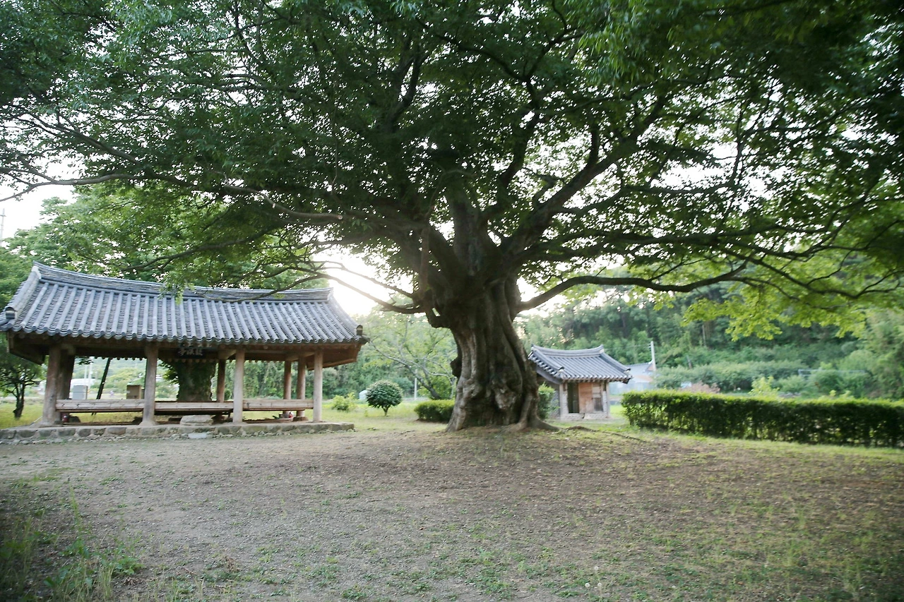 MG0A9200_новый размер_exposure.JPG