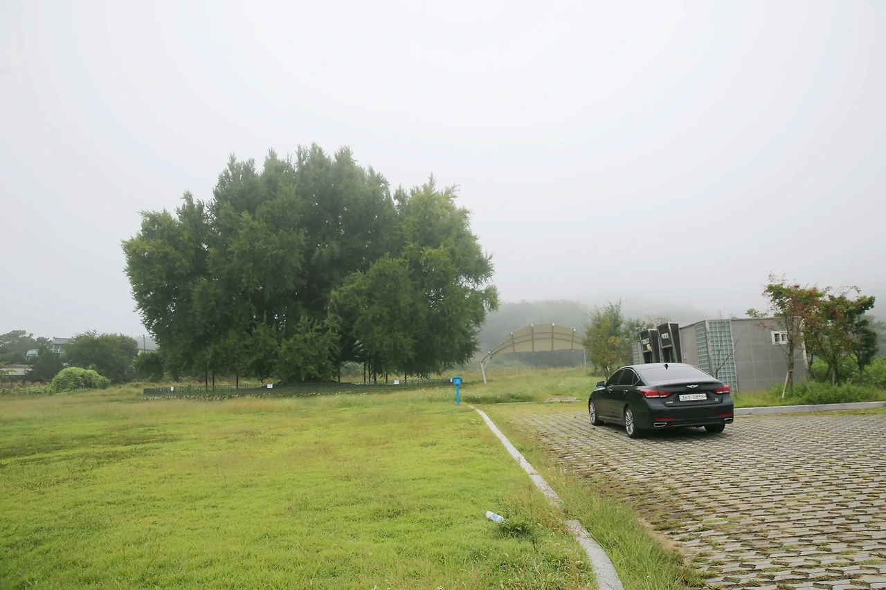 MG0A3577_новый размер_exposure.JPG